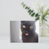 Sweet Cat Postkarte (Stehend Vorderseite)