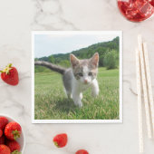 Sweet Cat Serviette (Beispiel)