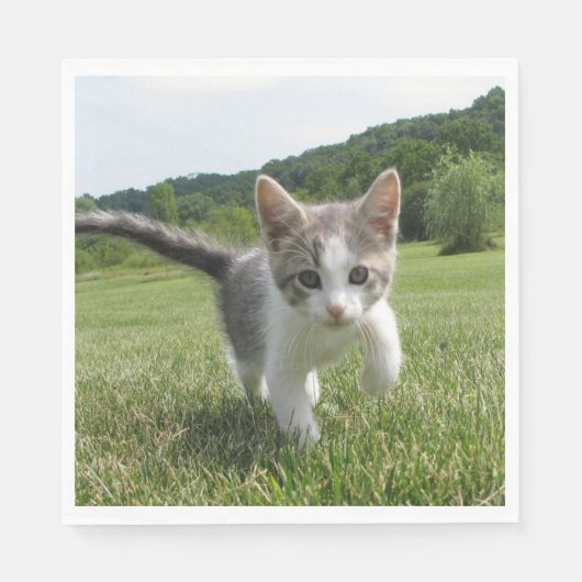 Sweet Cat Serviette (Vorderseite)