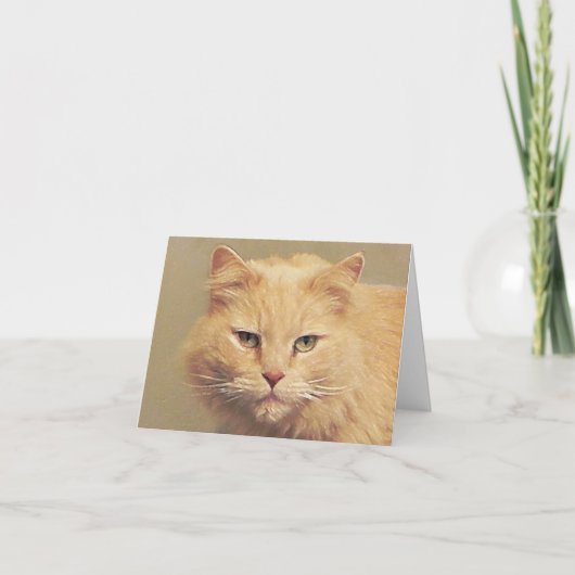 Sweet Cat wird bald gut Karte (Vorderseite)