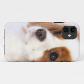 Sweet Cavalier King Charles Spaniel iphone 5g Case (Rückseite (Horizontal))