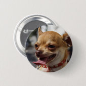 Sweet Charlie Chihuahua Button (Vorne & Hinten)