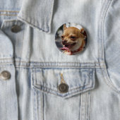 Sweet Charlie Chihuahua Button (Beispiel)