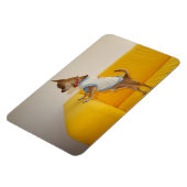 Sweet Charlie Chihuahua Magnet (Linke Seite)