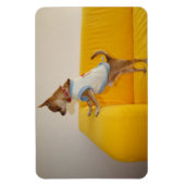 Sweet Charlie Chihuahua Magnet (Vertikal)