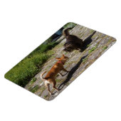 Sweet Charlie Chihuahua Magnet (Linke Seite)