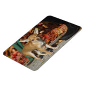 Sweet Charlie Chihuahua Magnet (Linke Seite)