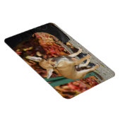 Sweet Charlie Chihuahua Magnet (Rechte Seite)