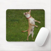 Sweet Charlie Chihuahua Mousepad (Mit Mouse)