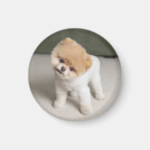 Sweet Charming Pom Einzigartiges Magnet