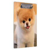 Sweet Charming Spitz Einzigartig Klemmbrett (Rechts)