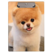 Sweet Charming Spitz Einzigartig Klemmbrett (Vorderseite)