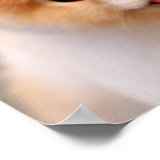 Sweet Charming Spitz Einzigartig Poster (Ecke)