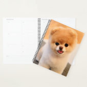 Sweet Charming Spitz Einzigartiger Planer (Anzeige)