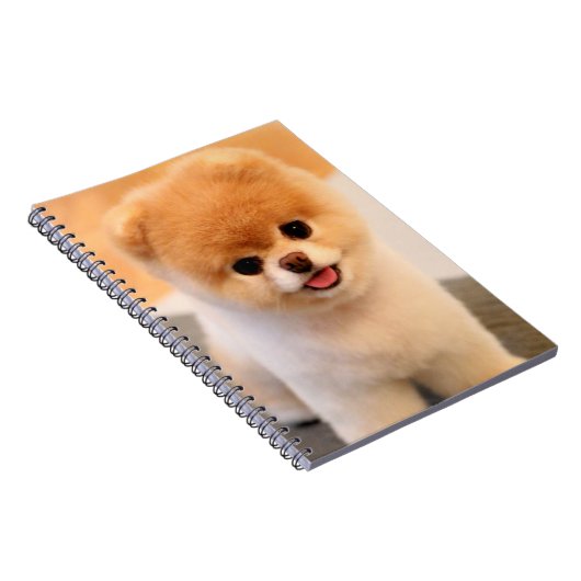 Sweet Charming Spitz Einzigartiges Notebook Notizblock (Rechte Seite)