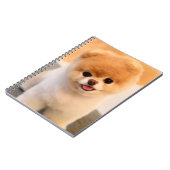 Sweet Charming Spitz Einzigartiges Notebook Notizblock (Linke Seite)