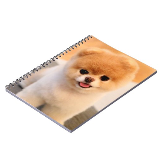 Sweet Charming Spitz Einzigartiges Notebook Notizblock (Linke Seite)
