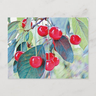 Sweet Cherries Postcard Postkarte