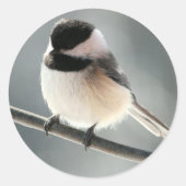 Sweet Chick Stickers (Vorderseite)