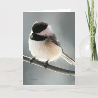 Sweet Chickadee Card Karte