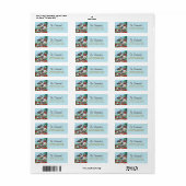 Sweet Chickadee Malerei (Vorne)