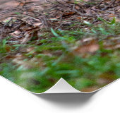 Sweet Chihuahua Puppy Gundog Wannabe Poster (Ecke)