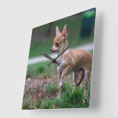 Sweet Chihuahua Puppy Gundog Wannabe Quadratische Wanduhr (Winkel)