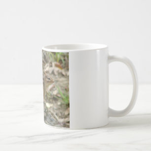 Sweet Chipmunk Hot Springs National Park Geschenke Kaffeetasse