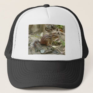 Sweet Chipmunk Hot Springs National Park Geschenke Truckerkappe