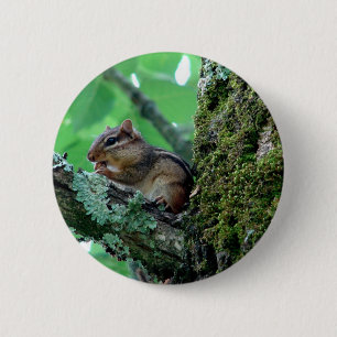 Sweet Chipmunk in einem Baumkleid und Geschenke Button