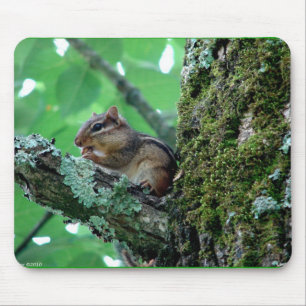 Sweet Chipmunk in einem Baumkleid und Geschenke Mousepad
