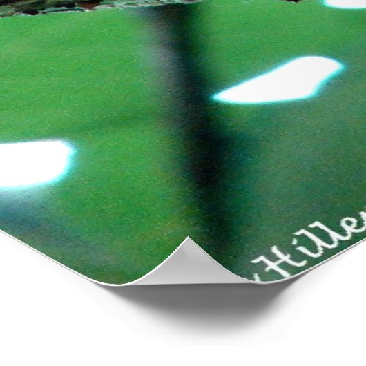 Sweet Chipmunk in einem Baumposter Poster (Ecke)