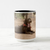 Sweet Chocolate Labrador Retriever Puppy Tasse (Zentrum)