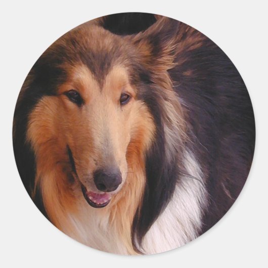 Sweet Collie Runder Aufkleber (Vorderseite)