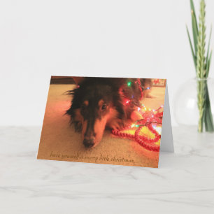 Sweet Collie Weihnachten, Schönen Sie sich ein bis Feiertagskarte