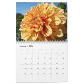 Sweet Colorful Dahlia Blume Calendar Florals Kalender (Jan 2026)