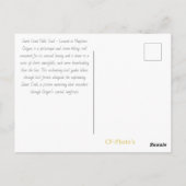 Sweet Creek Falls Oregon Postcard Postkarte (Rückseite)