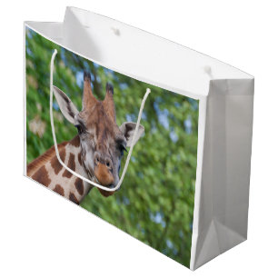 Sweet Curios Giraffe Große Geschenktüte