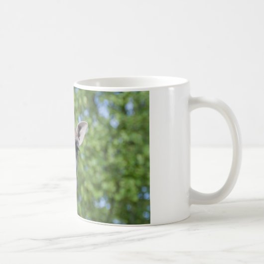 Sweet Curios Giraffe Kaffeetasse (Rechts)