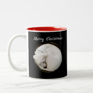 Sweet Curled White Dog Friedliche Weihnachten Zweifarbige Tasse