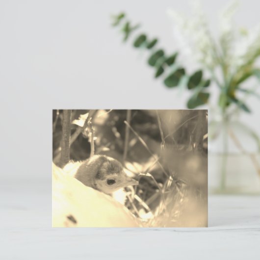 Sweet Dedication - Postkarte (Stehend Vorderseite)