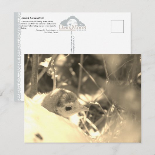 Sweet Dedication - Postkarte (Vorne/Hinten)