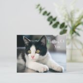 Sweet "Denken Sie an Sie" Tuxedo Kitten Gruß Postkarte (Stehend Vorderseite)
