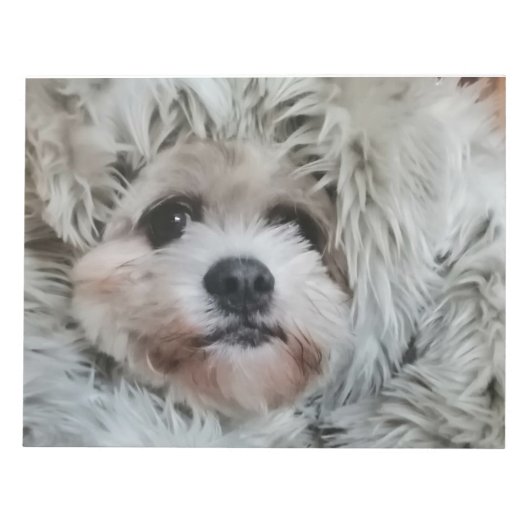 Sweet dog, puppy notizblock (Vorderseite)