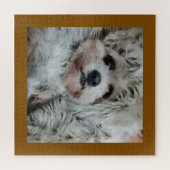 Sweet dog, puppy puzzle (Horizontal)