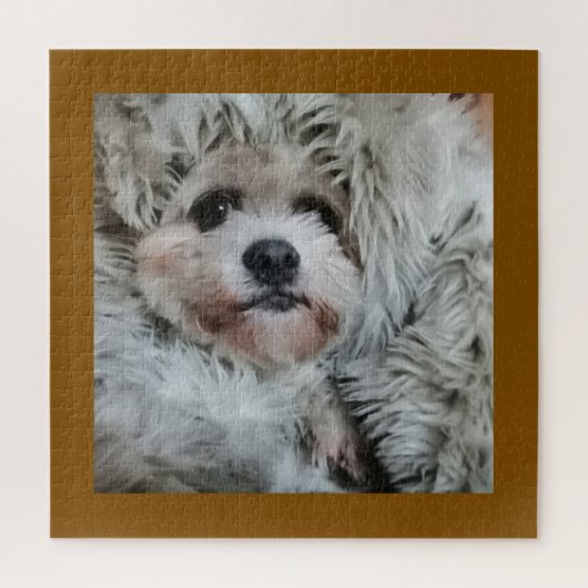 Sweet dog, puppy puzzle (Vertikal)