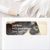 Sweet Donkey (Insitu)