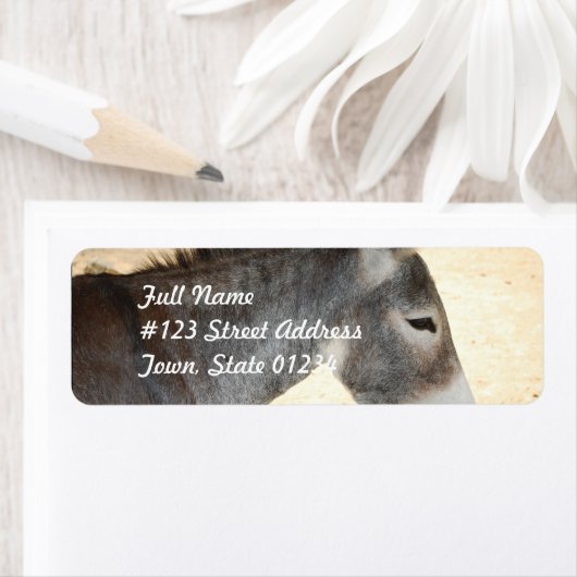 Sweet Donkey (Insitu)