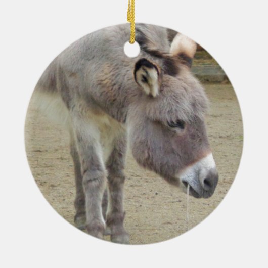 Sweet Donkey, Animal Gray, Horse Family Keramik Ornament (Hinten)