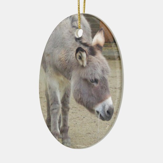 Sweet Donkey, Animal Gray, Horse Family Keramik Ornament (Links)